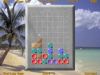 Puzzle Game Screenshot